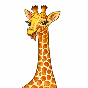 Klassentier Giraffen